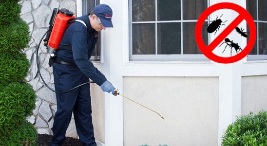 Lalapaşa Akrep İlaçlama böcek ilaçlama ve haşere kontrolü — ilaclama-tr.com